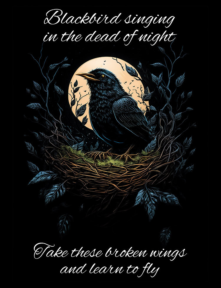 Paul McCartney Blackbird acoustic song shirt