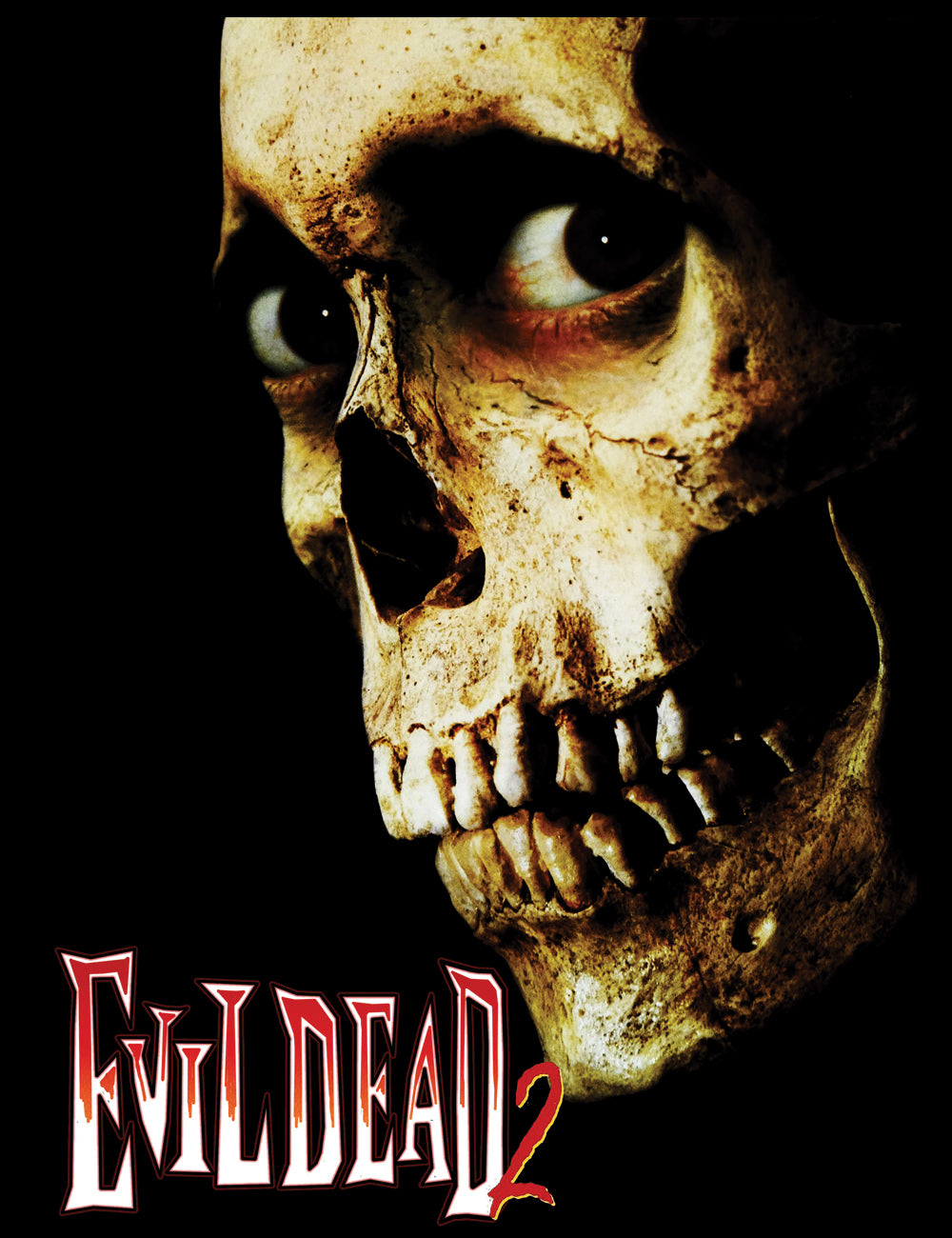 Cult Horror Evil Dead 2 Dead By Dawn T-Shirt