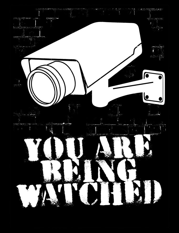 Conspiracy Theory T-Shirt You Are Being Watched